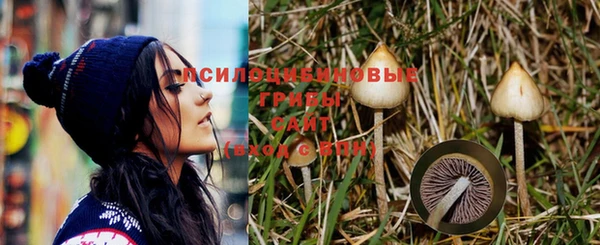 скорость Аркадак