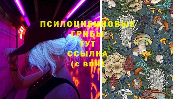 герыч Арсеньев