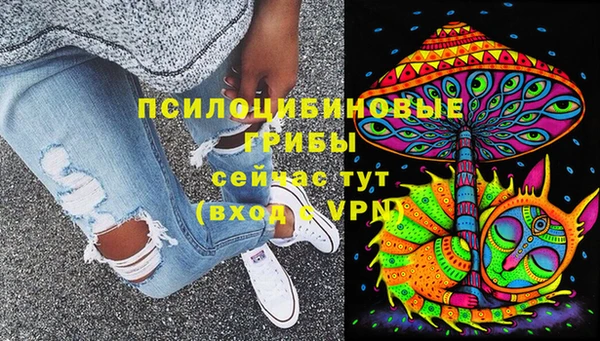 герыч Арсеньев