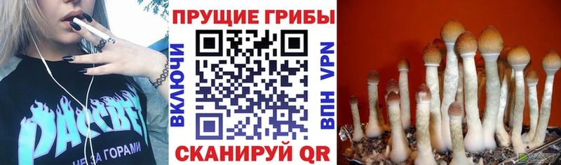 МЕГА вход  Партизанск  Псилоцибиновые грибы прущие грибы 
